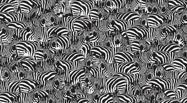 Solo para EXPERTOS: ¿Te atreves a encontrar las teclas del piano?