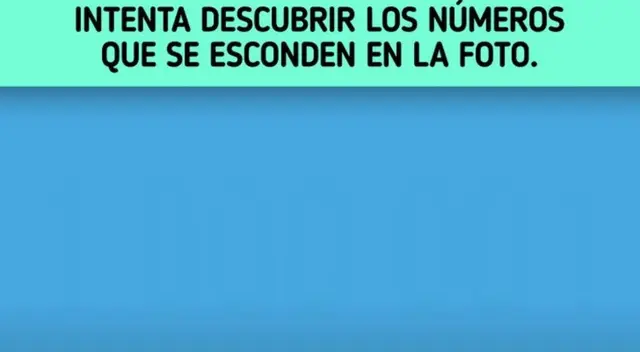 Acertijo visual: ¿Cuántos números ves en la imagen?