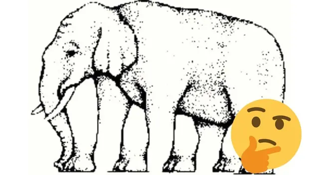 ¿Cuántas patas tiene el elefante? Anímate a superar esta ilusión óptica en 5 segundos ¿Cuántas patas tiene el elefante? Anímate a superar esta ilusión óptica en 5 segundos