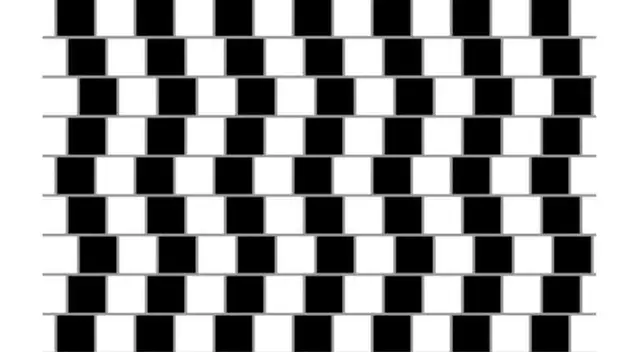 Resuelve esta ilusión óptica y demuestra si tiene una buena visión