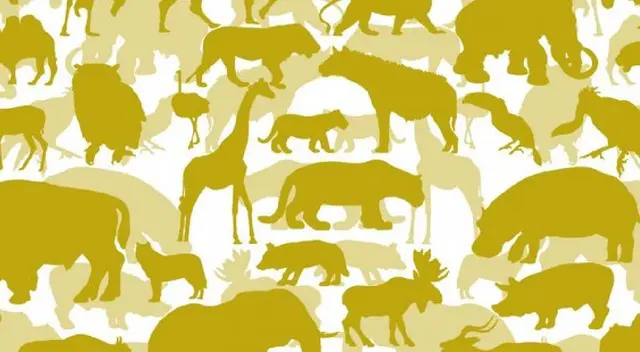 ¿Qué animal que eliges? Tu respuesta revelará tu personalidad ¿Qué animal que eliges? Tu respuesta revelará tu personalidad