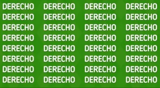 ¿Logras ver la palabra 'Desecho'? atrévete a resolver el acertijo que solo el 2% logró ¿Logras ver la palabra 'Desecho'? atrévete a resolver el acertijo que solo el 2% logró