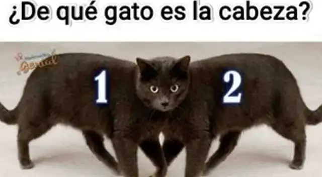 Resuelve este acertijo visual que solo el 2% logró dar con la respuesta