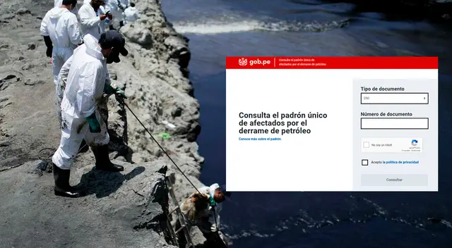 Conoce si estás en el padrón único de afectados por el derrame de petróleo. Conoce si estás en el padrón único de afectados por el derrame de petróleo.