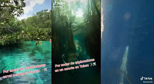 Tiktok: turistas se encuentran con un cocodrilo mientras nadaban en las costas de Tulum