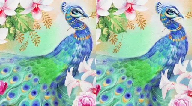 ¿Ves las 3 diferencias? Intenta superar este reto visual en 8 segundos ¿Ves las 3 diferencias? Intenta superar este reto visual en 8 segundos