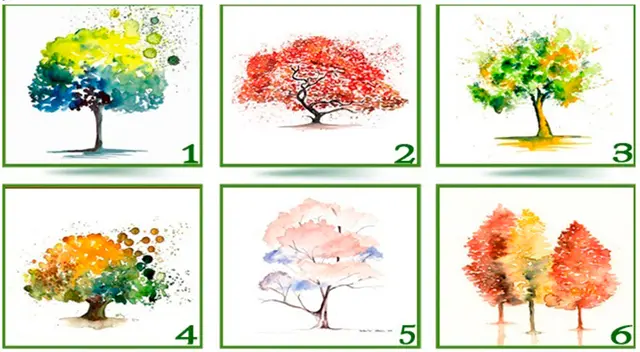 Test de personalidad: elige un árbol y conoce qué cualidades te hacen brillar entre los demás. Test de personalidad: elige un árbol y conoce qué cualidades te hacen brillar entre los demás.
