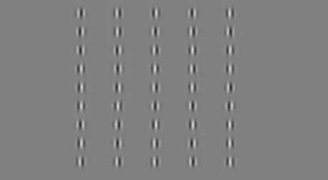 ¿Encuentra los cinco números 2? Tienes 7 segundos para resolver el reto visual