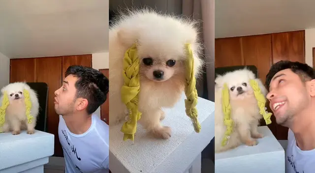 ¡Qué gran actuación! Joven y su tierno perrito dieron vida a Tronchoro y Amanda de la película Matilda.