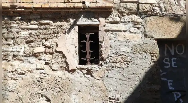 Reto visual: ¿Quién te observa en esta imagen? Encuéntralo en solo 10 segundos