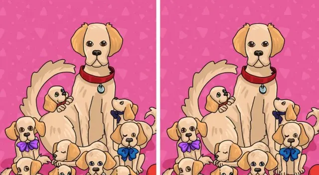 ¿Podrás hallar las 2 diferencias? Atrévete a superar este complicado reto visual