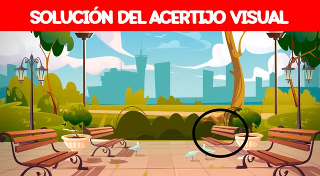 solución del reto visual