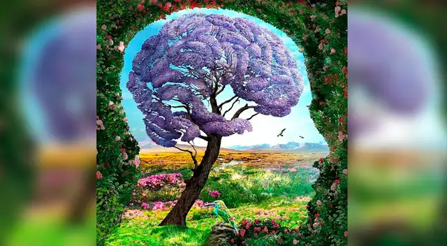 Test de personalidad: qué que lo que ves primero y tu respuesta te dejará boquiabierto. Test de personalidad: qué que lo que ves primero y tu respuesta te dejará boquiabierto.