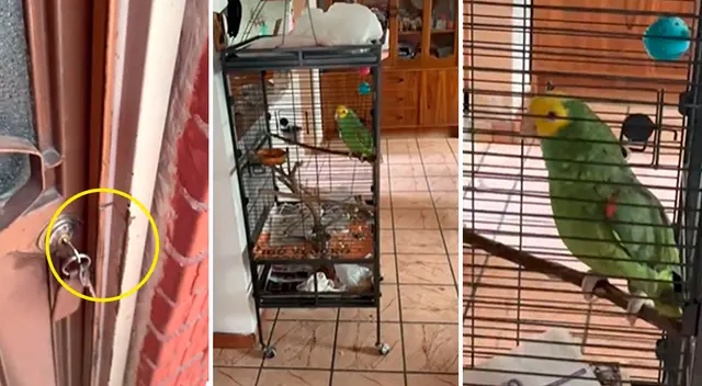 perico responde a testigos de jehová y quedan esperando en vano fuera de la casa perico responde a testigos de jehová y quedan esperando en vano fuera de la casa