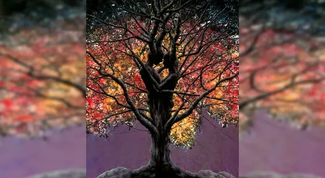 Observa bien la imagen y descubre como eres en el amor.