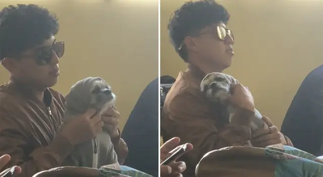 Alumno asistió a sus clases universitarias con su mascota y causa ternura en las redes sociales. Alumno asistió a sus clases universitarias con su mascota y causa ternura en las redes sociales.