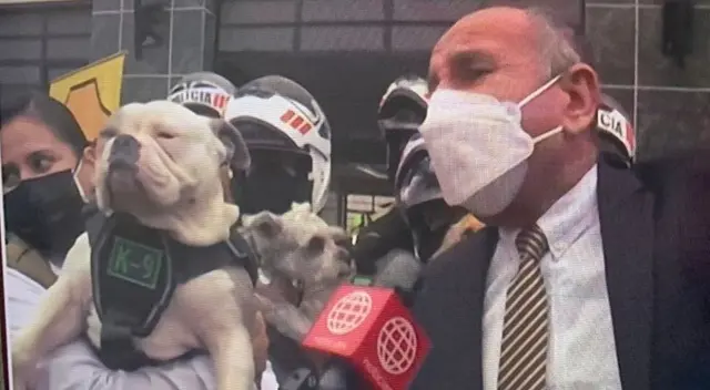 Perrito Max comenzó el servicio policial con el Escuadrón orejita Perrito Max comenzó el servicio policial con el Escuadrón orejita