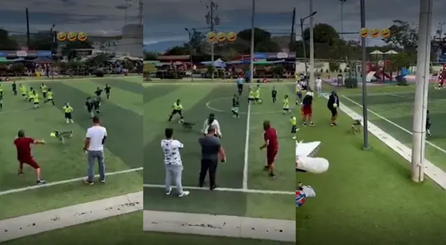 Mascota se roba una pelota de fútbol durante un partido y es perseguido por jugadores
