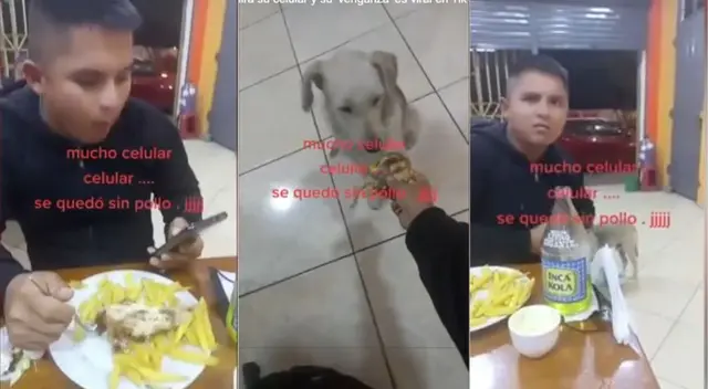 Joven entregó pollo a la brasa de su pareja a un perro sin hogar como 'venganza' - VIDEO Joven entregó pollo a la brasa de su pareja a un perro sin hogar como 'venganza' - VIDEO