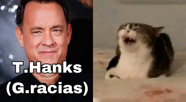 ¿Por qué los memes en ¿Por qué los memes en