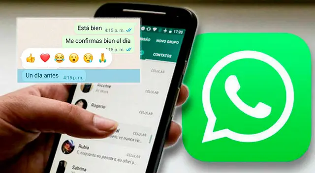 WhatsApp incluye reacciones a sus chat al mismo estilo de Facebook messenger. WhatsApp incluye reacciones a sus chat al mismo estilo de Facebook messenger.