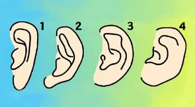 Encuentra la forma de tus orejas y aprende más sobre ti Encuentra la forma de tus orejas y aprende más sobre ti