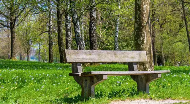 Resuelve este acertijo viral en tiempo récord ¿Lo lograras? Resuelve este acertijo viral en tiempo récord ¿Lo lograras?