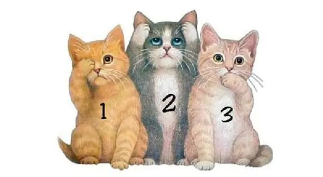 ¿Qué gatito es tu favorito? Descubre más de tu forma de ser con este test ¿Qué gatito es tu favorito? Descubre más de tu forma de ser con este test