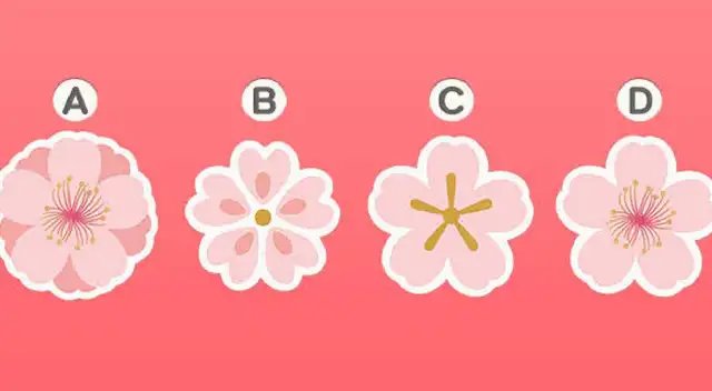 ¿Qué flor te gusta màs? Tu respuesta revelará rasgos de tu personalidad