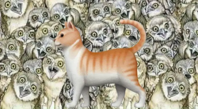 ¿Dónde está el gato? Encuéntralo en menos de 8 segundos ¿Dónde está el gato? Encuéntralo en menos de 8 segundos
