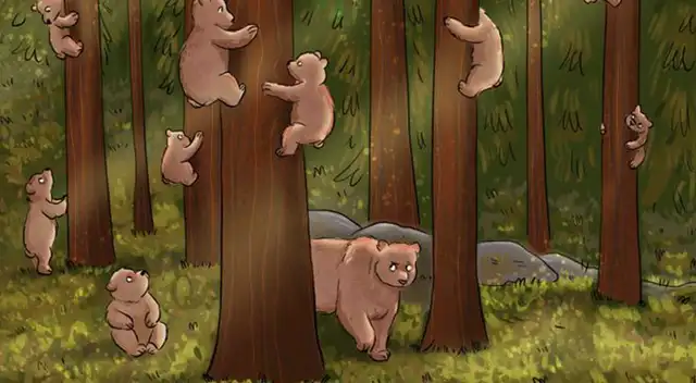 ¿Logras ver al infiltrado? Ubica al que no es un oso en este reto visual