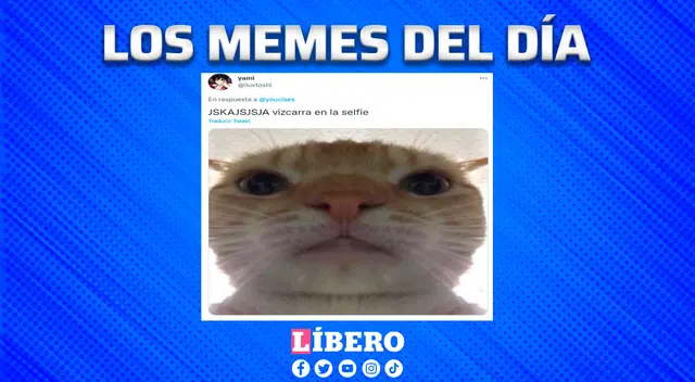 Martín Vizcarra habría enviado una foto a Zully Pinchi y usuarios recrearon la escena.