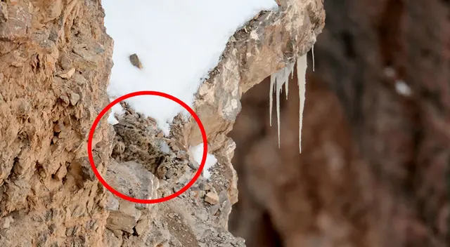 Solución del reto visual