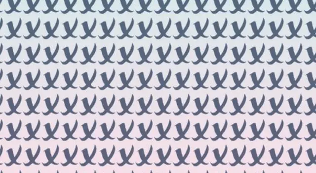 Encuentra la letra 'R' en solo 5 segundos, el 98% de personas fallaron en este reto Encuentra la letra 'R' en solo 5 segundos, el 98% de personas fallaron en este reto
