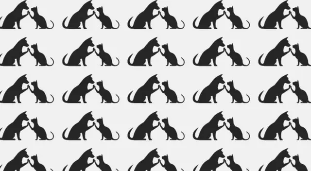 ¿Podrás hallar al perro y gato diferentes? Tienes 10 segundos en este reto visual