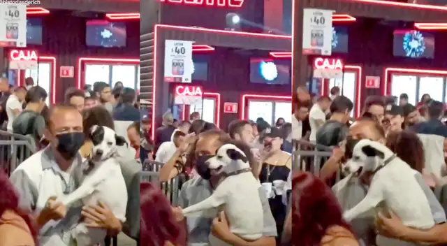 ¡Qué buen ritmo! Perro se luce bailando al lado de su dueño en una fiesta. ¡Qué buen ritmo! Perro se luce bailando al lado de su dueño en una fiesta.