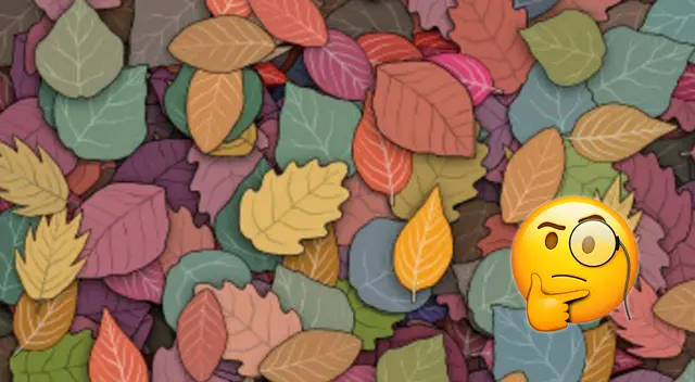 reto visual reto visual