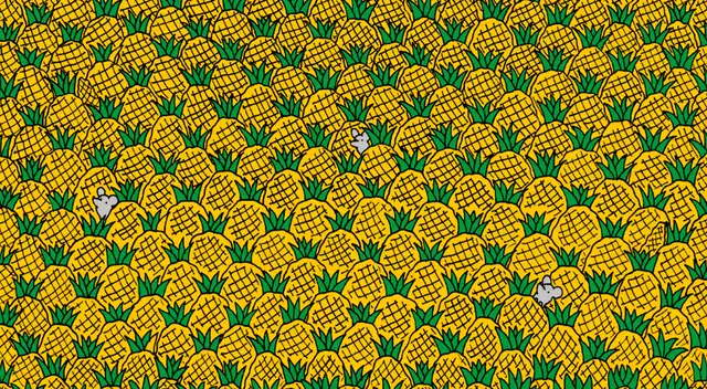 Reto visual: ¿Logras ver los cuatro choclos ocultos entre las piñas? El desafío viral que nadie ha podido superar Reto visual: ¿Logras ver los cuatro choclos ocultos entre las piñas? El desafío viral que nadie ha podido superar