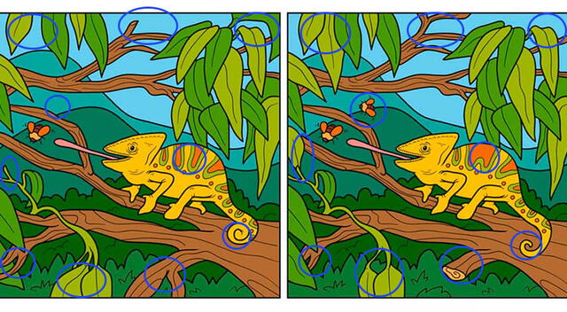 acertijos visuales retos visual acertijos visuales retos visual