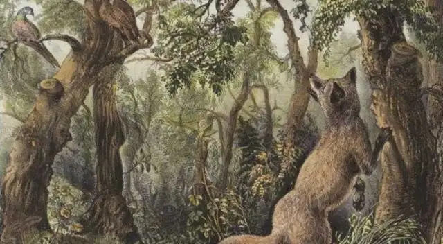 Reto visual descubre todas las caras escondidas en la imagen. Reto visual descubre todas las caras escondidas en la imagen.