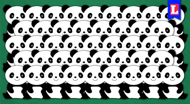 Reto visual: ¿Puedes encontrar al panda triste?