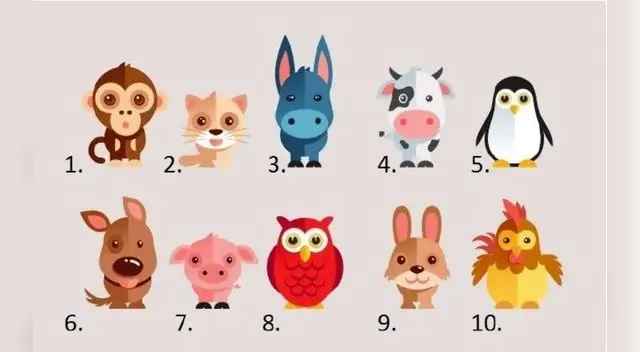 Elige un animal y descubre más sobre tu personalidad.
