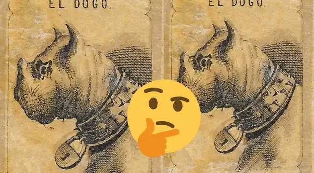 ¿Podrás encontrar al dueño del perro? Atrévete a superar este reto en tiempo récord