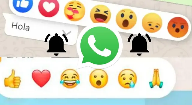WhatsApp: ¿Cómo desactivar las notificaciones de las reacciones? WhatsApp: ¿Cómo desactivar las notificaciones de las reacciones?