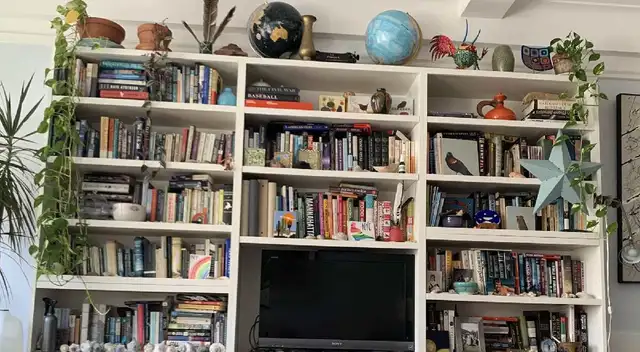 Encuentra al travieso gato en tiempo récord Encuentra al travieso gato en tiempo récord