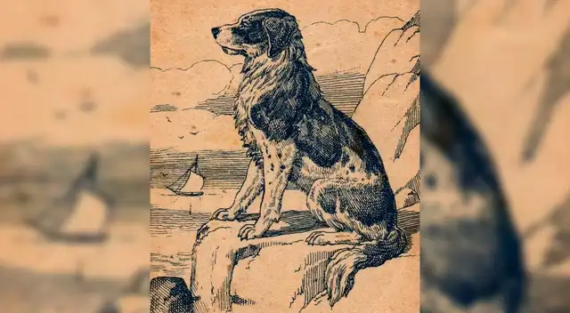 ¿Logras ver al dueño del perro? Te desafiamos a superar el reto en 5 segundos