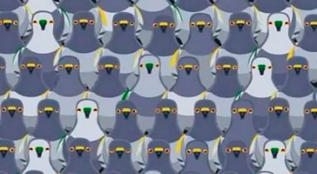 Reto visual: ¿Ves al gato escondido entre palomas? El desafío nivel EXTREMO que casi nadie supera Reto visual: ¿Ves al gato escondido entre palomas? El desafío nivel EXTREMO que casi nadie supera