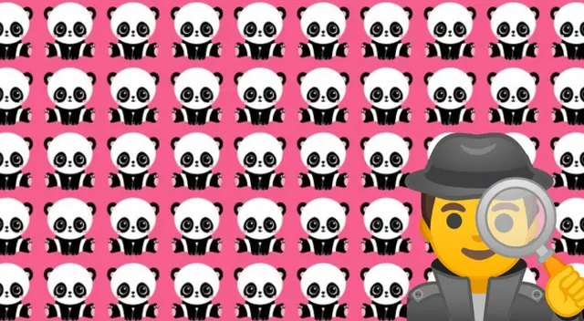 Reto visual: ¿encuentras al panda diferente? Solo un 3% adivinó el desafío en 8 segundos Reto visual: ¿encuentras al panda diferente? Solo un 3% adivinó el desafío en 8 segundos