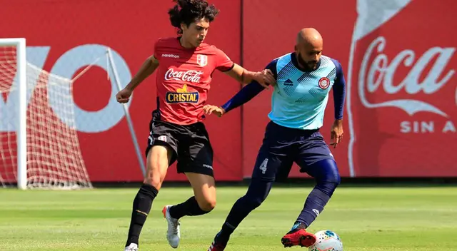 Sebastien Pineau pasó por la división de menores de Perú y Chile. Sebastien Pineau pasó por la división de menores de Perú y Chile.