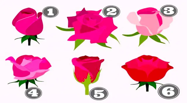 Resuelve este test de personalidad y descubre más de ti.